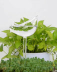 Helvano | Selbstbewässernder Glas-Blumentopf für Zimmerpflanzen