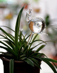 Helvano | Selbstbewässernder Glas-Blumentopf für Zimmerpflanzen