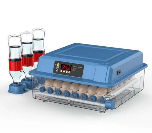 Helvano | Automatischer Inkubator für 15–36 Eier