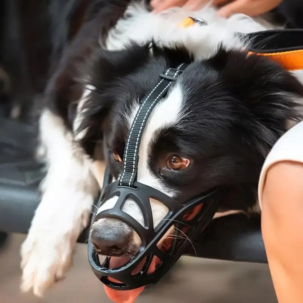 Helvano | Hundemaulkorb mit Verstellbarem Riemen