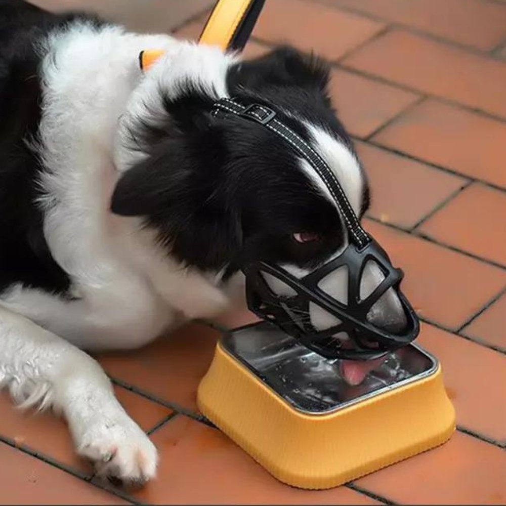 Helvano | Hundemaulkorb mit Verstellbarem Riemen