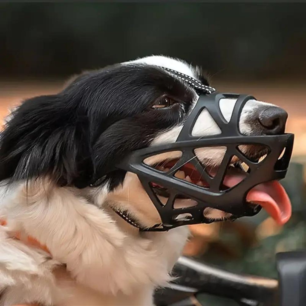 Helvano | Hundemaulkorb mit Verstellbarem Riemen