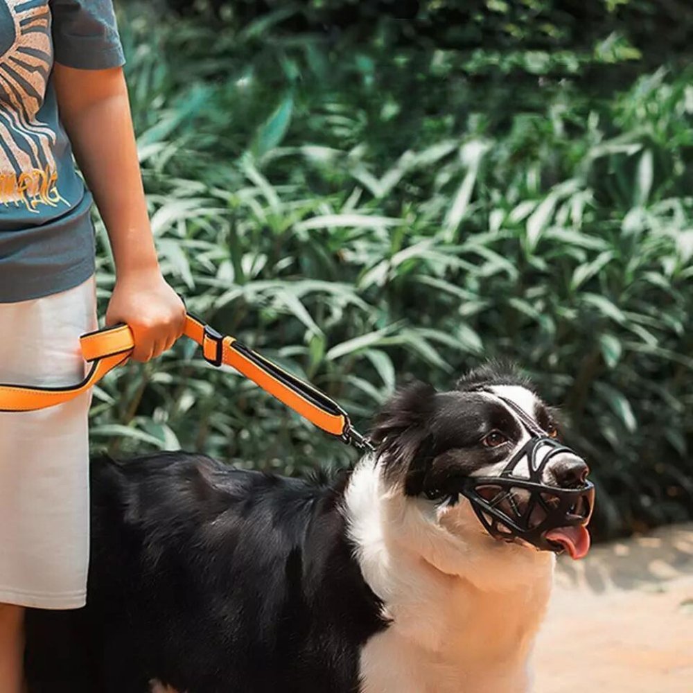 Helvano | Hundemaulkorb mit Verstellbarem Riemen