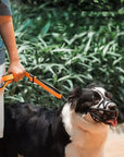 Helvano | Hundemaulkorb mit Verstellbarem Riemen