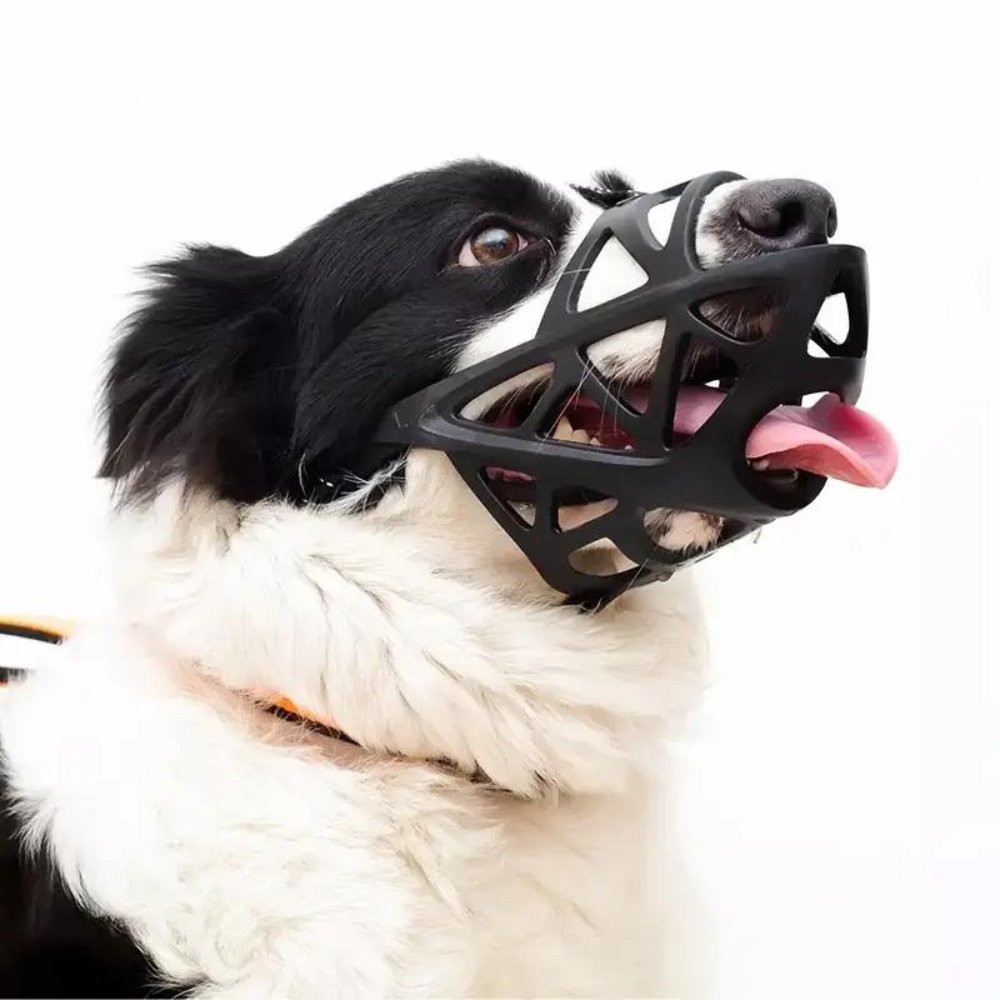 Helvano | Hundemaulkorb mit Verstellbarem Riemen