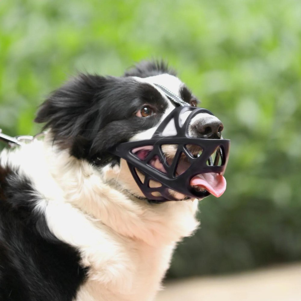 Helvano | Hundemaulkorb mit Verstellbarem Riemen