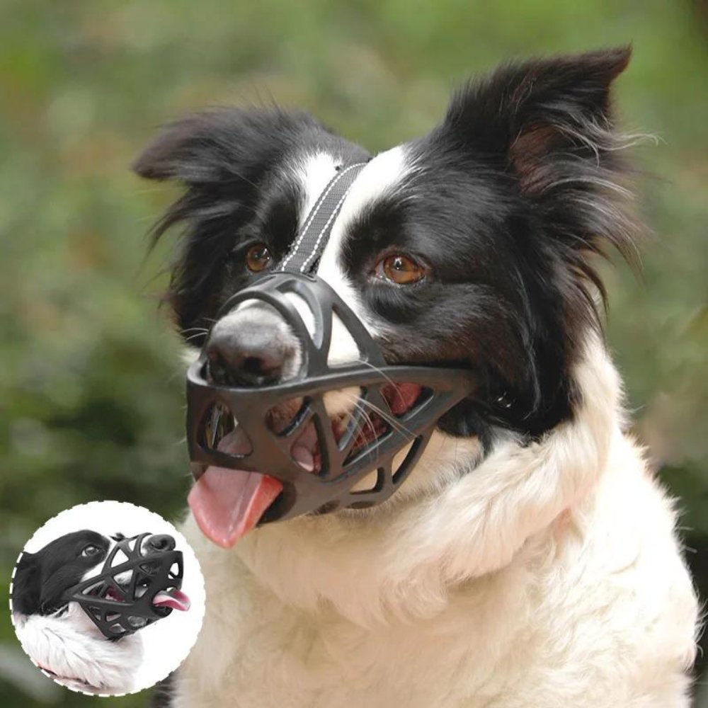 Helvano | Hundemaulkorb mit Verstellbarem Riemen