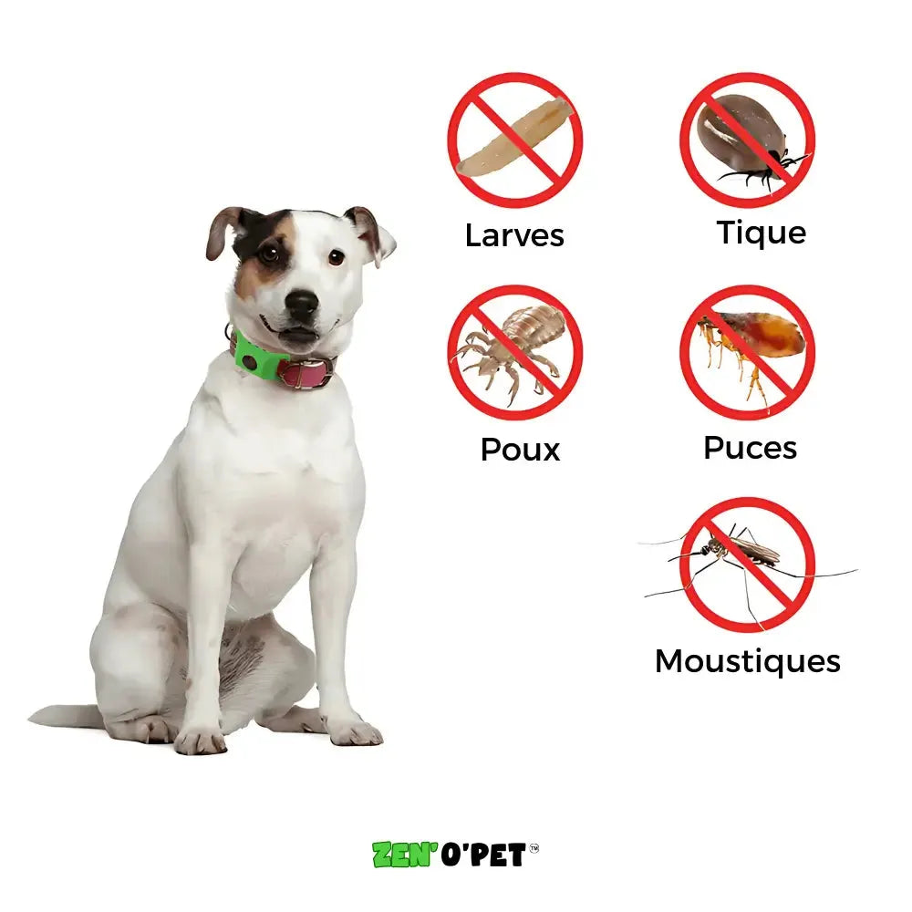 Helvano | Antiparasiten-Halsband für Hunde gegen Flöhe und Zecken