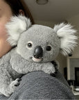 Helvano | Gewichtetes Koala-Kuscheltier
